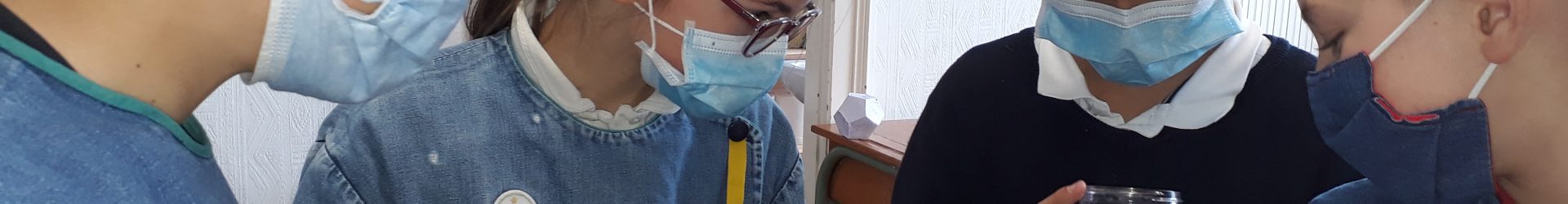 Observation de sciences