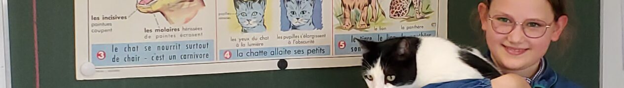 Cours de sciences sur pattes