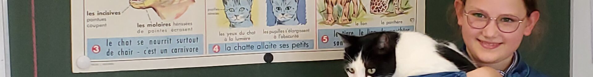 Cours de sciences sur pattes