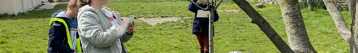 Accueillir le printemps